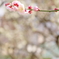 花暦～*　春のはじまり