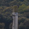 電柱