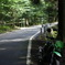 夏の影