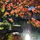 紅葉と池