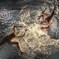 AMAZING! Fuerza Bruta!! 3
