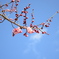 空へ