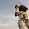 ガンダムと夕暮れ
