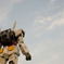 1/1お台場潮風公園のガンダム