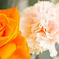 graduation　flower