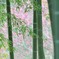 竹