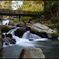 Mountain bird ravine 