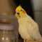 ふわぁ～～