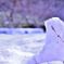 雪塊に刺さる枯れ枝