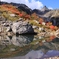 紅葉と槍