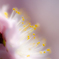 20130309-DSC_2416