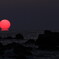 RED SUN