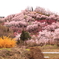 追悼「福島の春」