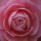 DSC01581A