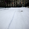 パリにまた雪が降る