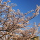 DSC00266