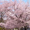 DSC00256