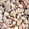 Shells