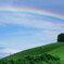 Rainbow Hill