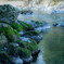 水辺の風景