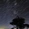 星降る夜
