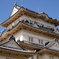 城めぐりin小田原城
