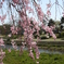 photo_2415426