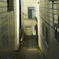 CustomName003