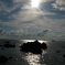佐渡の海
