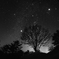 Monochrome starlight