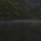 霧と湖