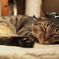 good sleep