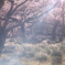 桜の幻想