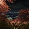 まつだ桜まつり