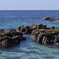 屋久島
