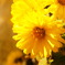DSC00196