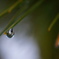 DSC00418