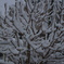 DSC00415