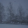 DSC00417