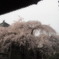 玉蔵院①