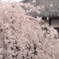 玉蔵院⑨
