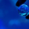 Aquarium planet