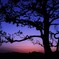 本日の夕暮れ