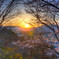 夕焼け