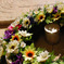 Der Blumenkranz in Bratislava