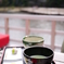 春のお茶