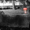 akarinDSC_0324