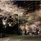 桜坂