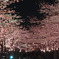 桜坂２