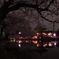 桜と弁天堂
